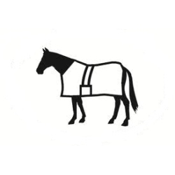 HORSE WEAR